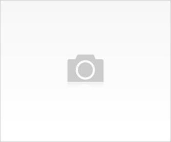 Burun Gerisine Akıntı (BGA)